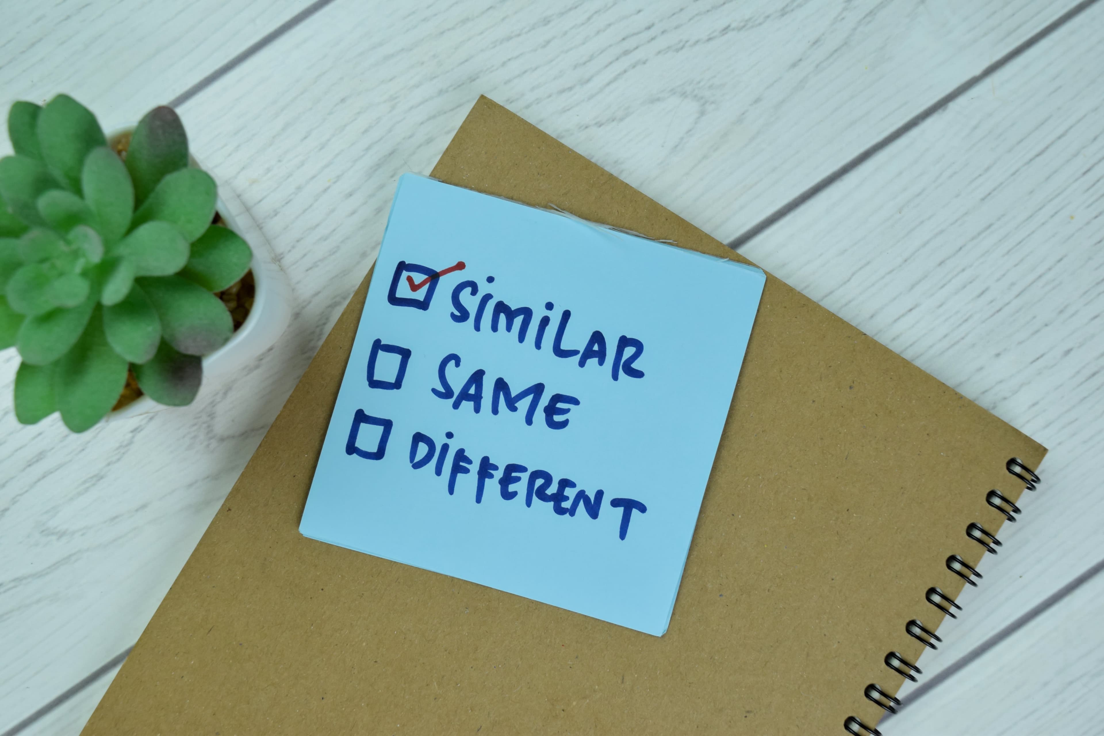 Understanding Profiles: The Bridge Between Original CVs and Blind CVs
